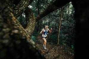 BIB: 
                            <button type="button" onclick="openModal(25666549)" class="btn btn-primary btn-sm float-right btn-popup" data-toggle="modal" data-target=".modal-high-quality">
                        <i class="fas fa-shopping-cart"></i> Add to Cart
                    </button>
                                            <button type="button" onclick="isThisMe(25666549, true)" class="btn btn-success btn-sm float-right btn-popup btn-isme hidden" data-toggle="tooltip" data-placement="bottom" title="นี่คือรูปของคุณใช่ไหม คลิกที่นี่เพื่อเอาเข้าอัลบั้ม">
                        <i class="fas fa-plus"></i> Add to album
                    </button>
                    <button type="button" onclick="isThisMe(25666549, false)" class="btn btn-warning btn-sm float-right btn-popup btn-isnotme hidden">
                        <i class="fas fa-ban"></i> Remove from album
                    </button>